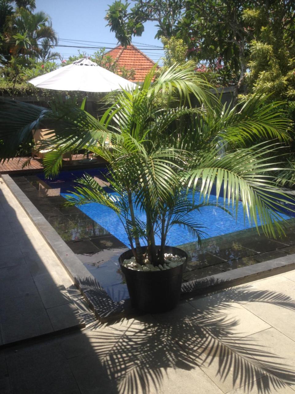 Villa Pungutan House 2 Sanur (Bali)